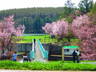 花畑 展望施設 一般社団法人美瑛町観光協会