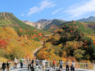 十勝岳温泉 凌雲閣 一般社団法人 美瑛町観光協会